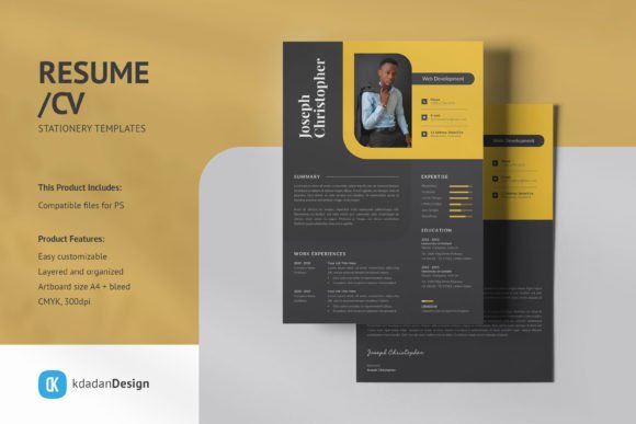 Professional Resume Templates Vol 159: A Designer's Toolkit